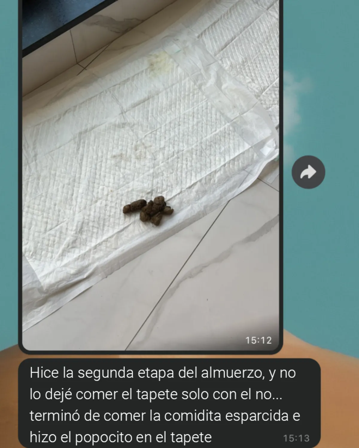 Caso Evelyn