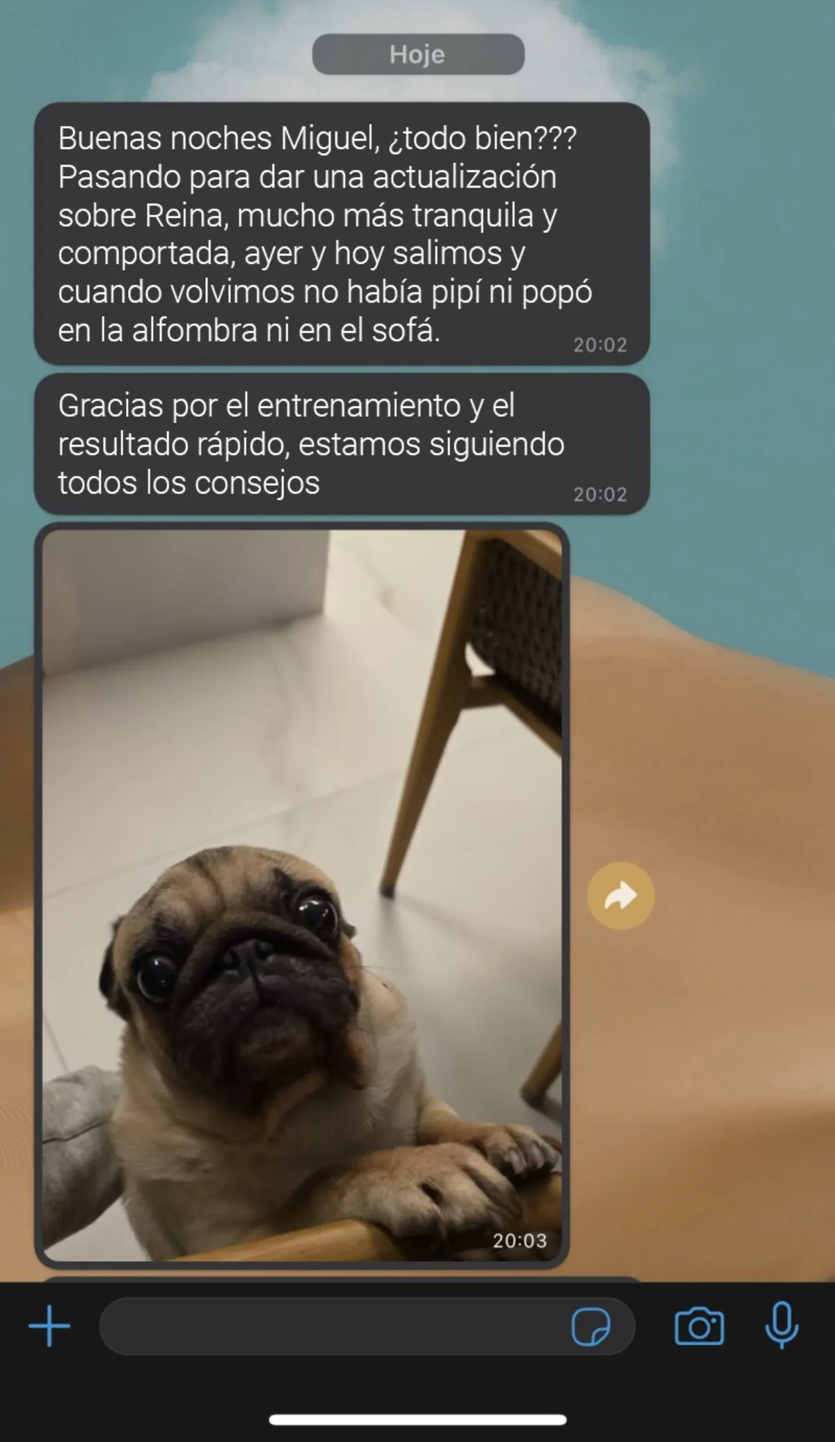 Caso Reina