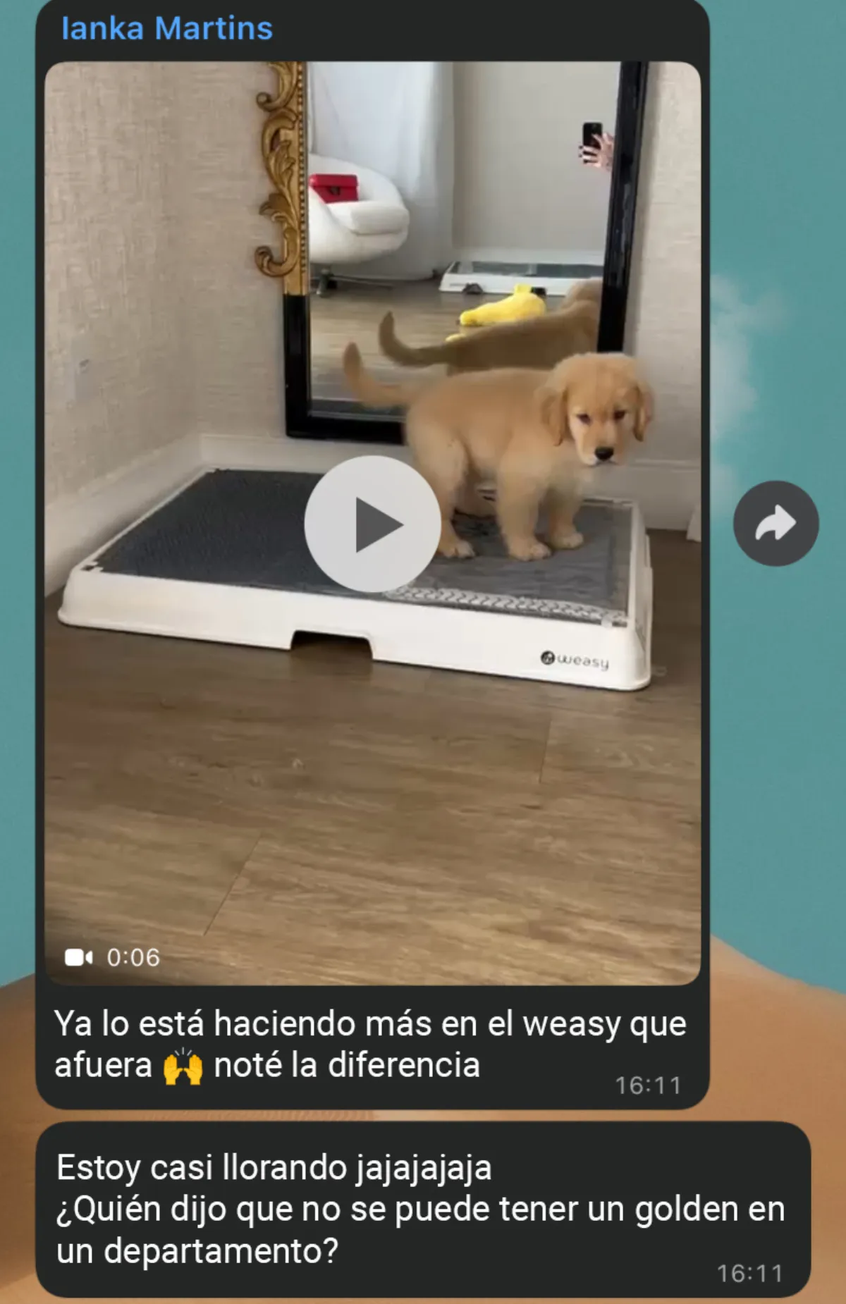 Caso Safira