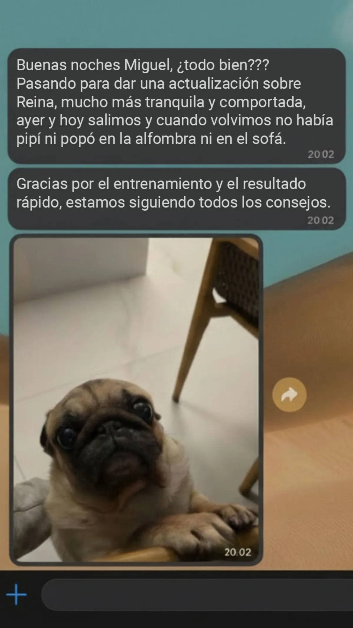 Depoimento Reina
